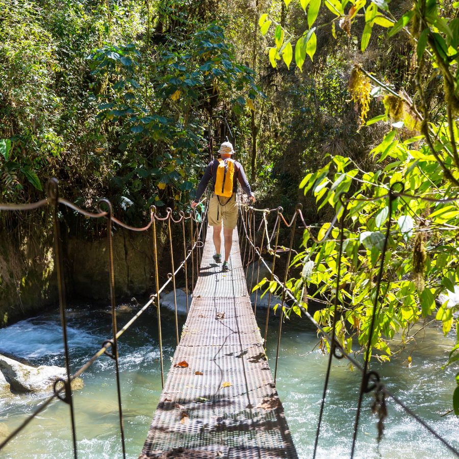 bridge over water